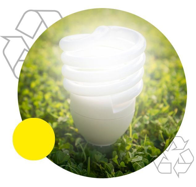 environmental fluorescent bulb collection